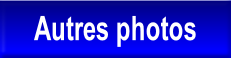 wp25290141.png